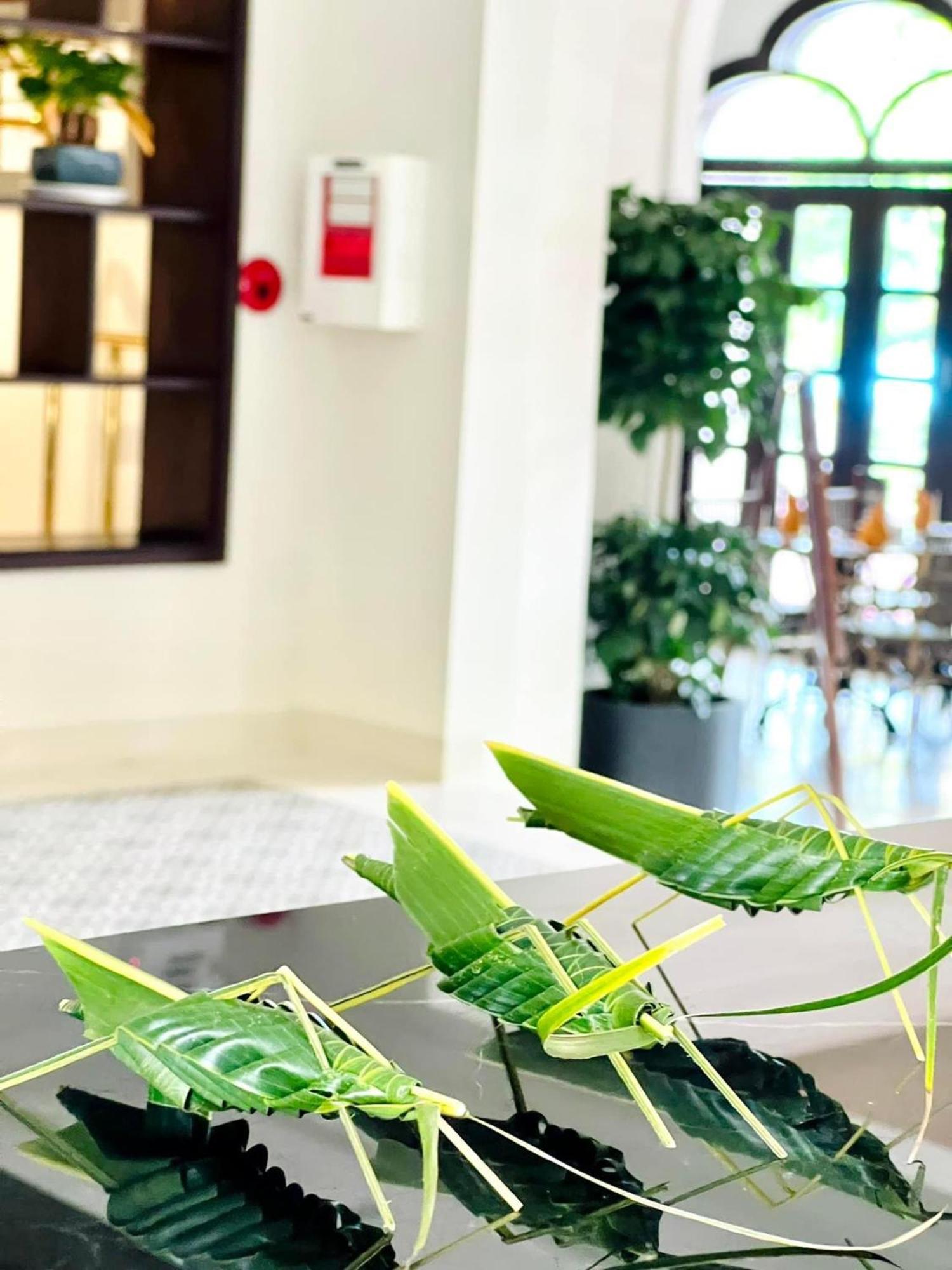 Little Residence - A Boutique Hotel & Spa Hoi An Bagian luar foto